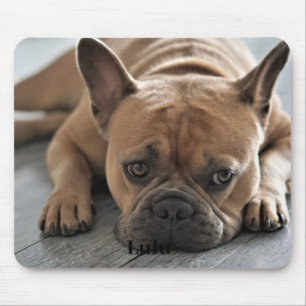 Dog Personalised Photo Mouse Mat