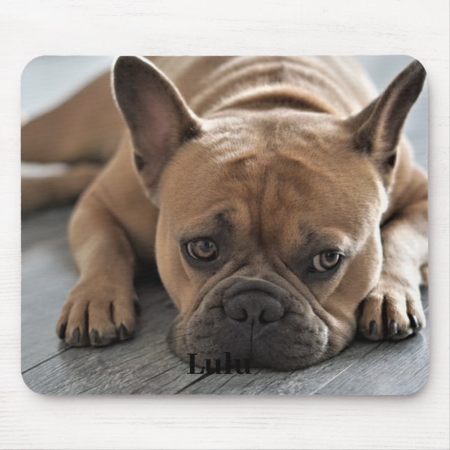 Dog Personalised Photo Mouse Mat (Front)