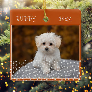 Dog Pet 2 Photos Star Pattern Orange Christmas Ceramic Ornament