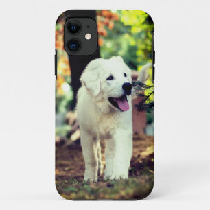 Dog, Pet, Canine iPhone 11 Case
