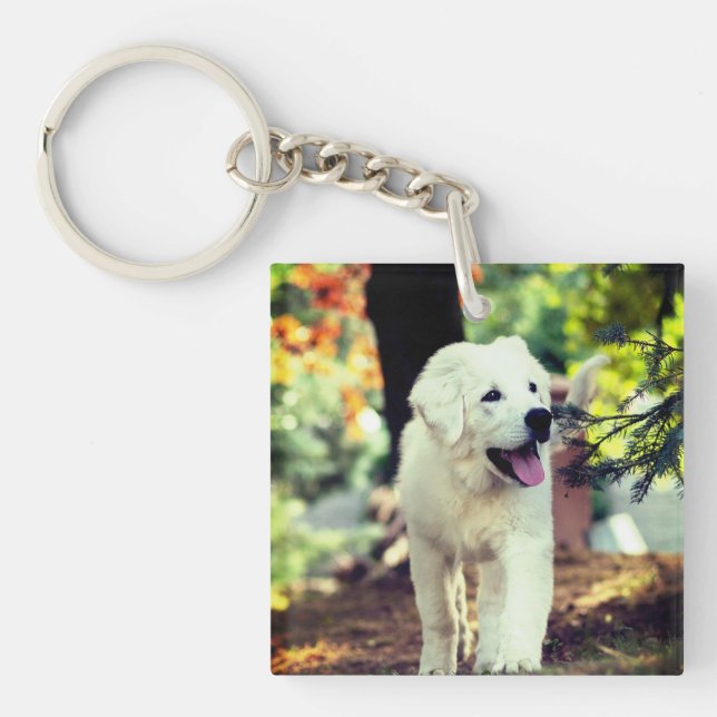 Dog, Pet, Canine Key Ring (Front)