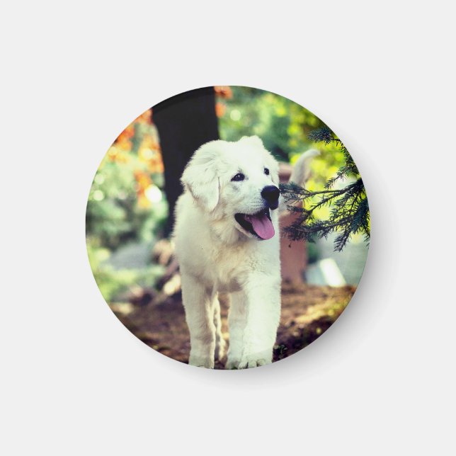 Dog, Pet, Canine Magnet (Front)