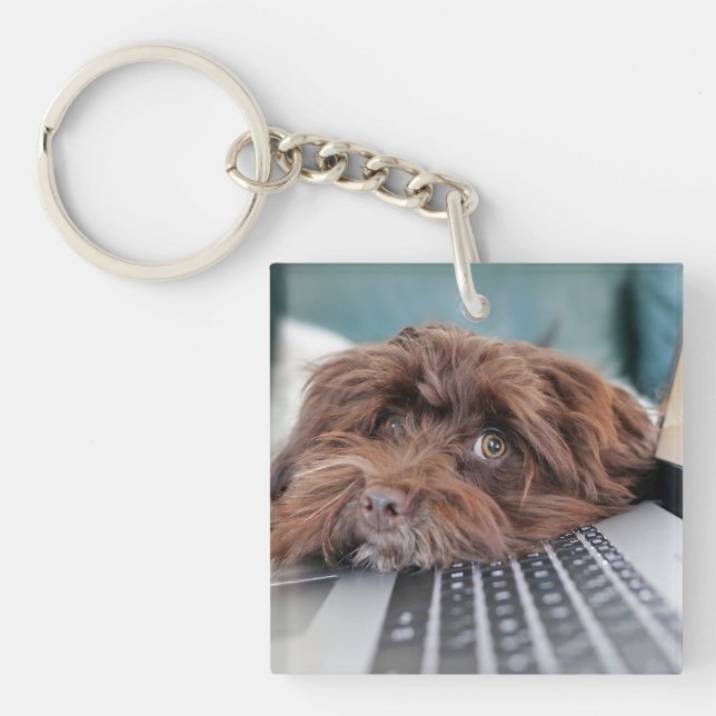 Dog, Pet, Containment Key Ring (Front)