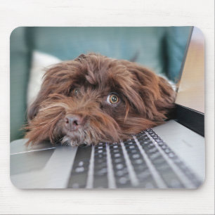 Dog, Pet, Containment Mouse Mat
