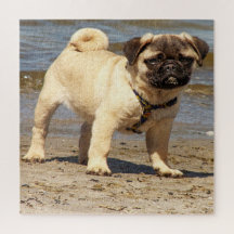 dog, pet, cute, animal, breed, puzzle,,puppy,