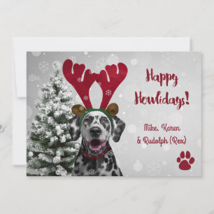 Dog Pet Funny Merry Christmas Cards