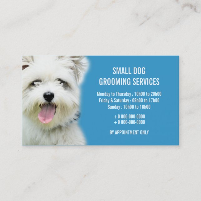 Dog pet grooming parlour | Personalise Business Card (Front)
