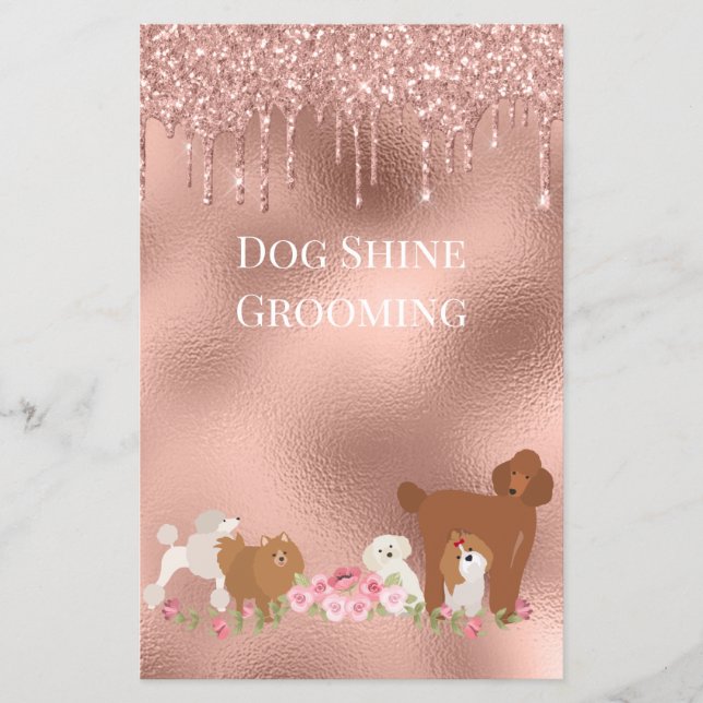 Dog Pet Grooming Sitting Business Glitter Flyer (Front)