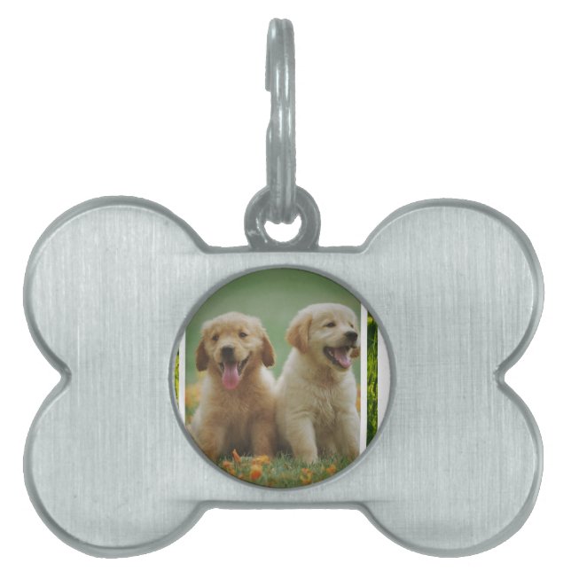 dog pet ID tag (Front)