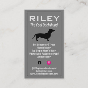 Dog Pet Influencer Social Media Dachshund Wiener Business Card