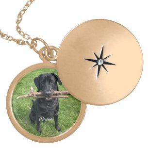 Dog Pet Personalised Name and Photo  Gold Plated Necklace