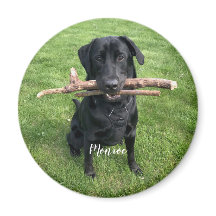 Dog Pet Personalised Name and Photo Holiday