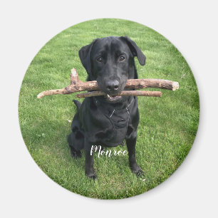 Dog Pet Personalised Name and Photo Holiday Magnet