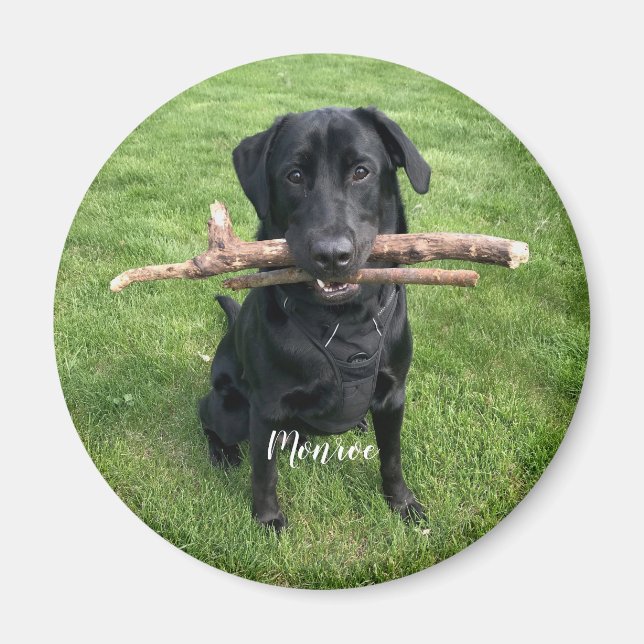 Dog Pet Personalised Name and Photo Holiday Magnet (Front)