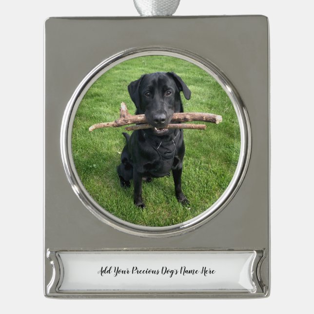 Dog Pet Personalised Name and Photo Silver Plated Banner Ornament (Front)