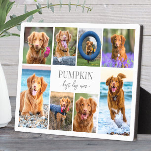 Dog Pet Photo Collage Plaque