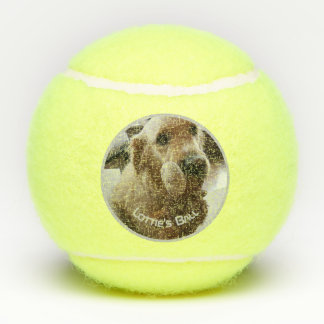 Dog Pet Photo Name Playtoy Tennis Balls