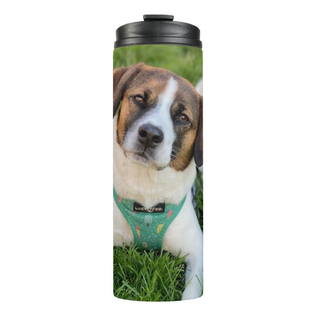 Dog Photo Add Your Photo Thermal Tumbler (Front)
