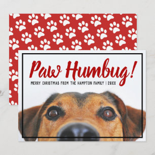 Dog Photo Bah Humbug Christmas Pet Holiday Card