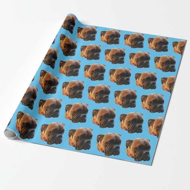 Dog Photo Boxer Puppy Bright Blue Custom Wrapping Paper (Unrolled)