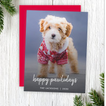 Dog Photo Christmas Card | Happy Pawlidays