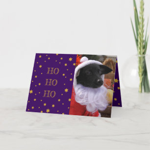 Dog Photo Christmas Card or Add Your Own Pet Photo