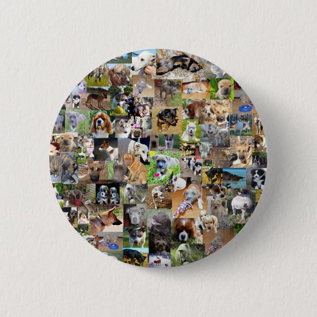 Dog Photo Collage, 6 Cm Round Badge (Front)