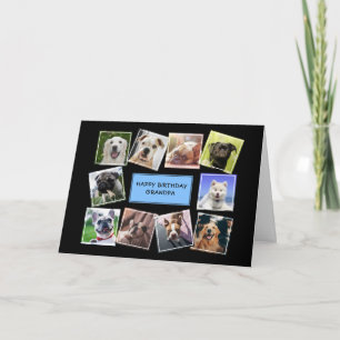 Dog Photo Collage Blue Birthday Card