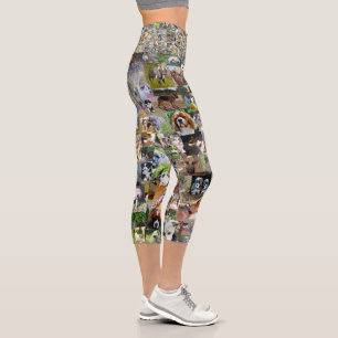 Dog Photo Collage, Capri Leggings