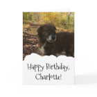 Dog Photo Custom Personalised Birthday