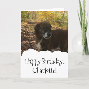 Dog Photo Custom Personalised Birthday Card