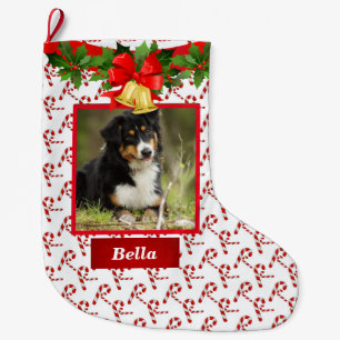 Dog Photo Cute Christmas Stocking Custom Name