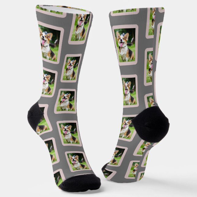 Dog Photo Lover Fun Socks (Angled)