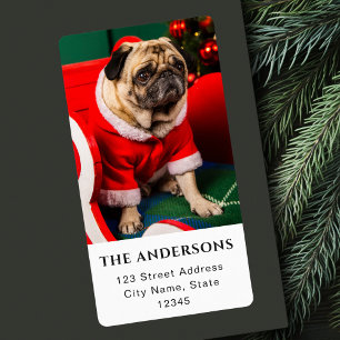 Dog Photo Lover Photo Christmas Holiday Pawlidays