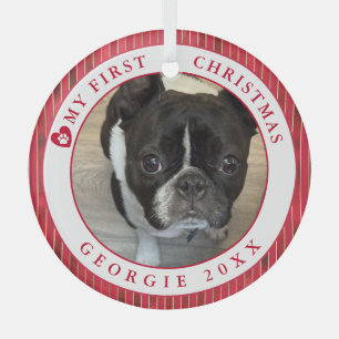Dog Photo My First Christmas Glass Tree Decoration