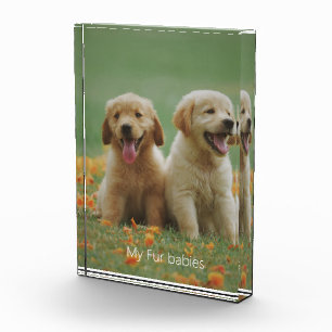 Dog Photo My Fur Babies Photo Block