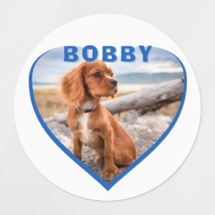 Dog Photo Name Blue Heart Dog
