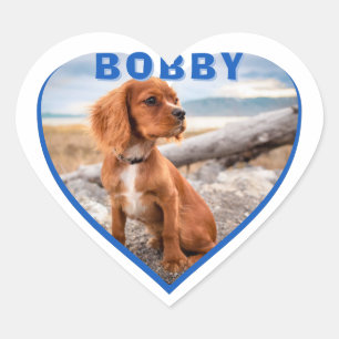 Dog Photo Name Blue Heart Dog  Heart Sticker
