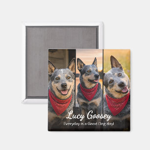 Dog Photo Name Cute Saying Magnet