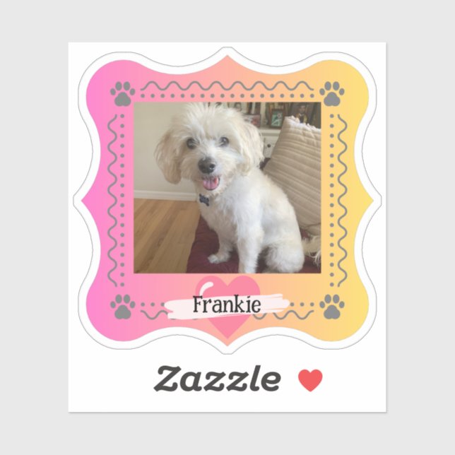 Dog photo on pink/yellow gradient background (Sheet)