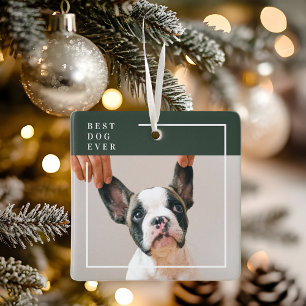 Dog Photo Ornament   Best Dog Ever Modern