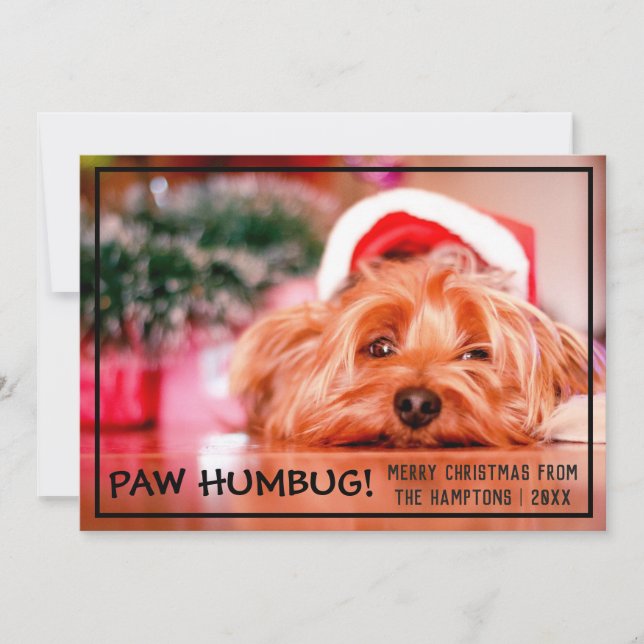 Dog Photo Paw Humbug Pet Christmas Holiday Card (Front)