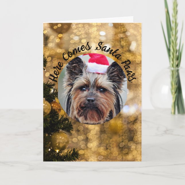 Dog Photo Personalise Name Christmas Holiday Card (Front)