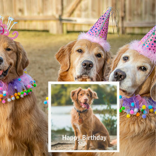 Dog Photo Personalized Birthday Cocktail Napkin