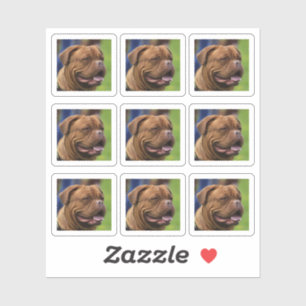 Dog Photo Portrait DIY