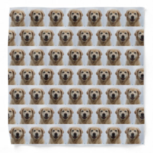 Dog Photo Retriever Puppy Pet Bandana