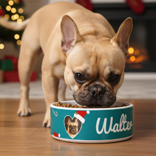 Dog Photo Santa Hat Teal Christmas Holiday Pet  Bowl