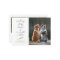 Dog Photo Sloppy Kisses Christmas Holiday Card