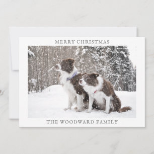 Dog Photo Snow Christmas Holiday Card
