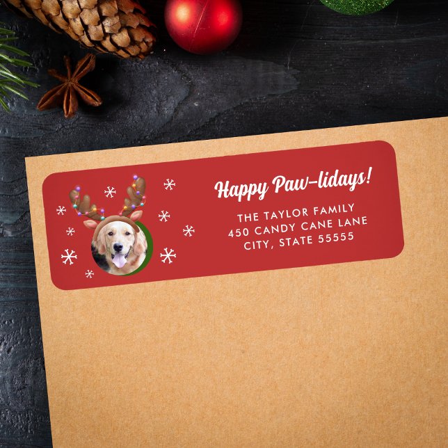 Dog Photo w/ Reindeer Antler Hat Christmas (Creator Uploaded)